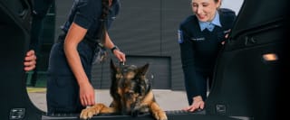 Tollikoer autot läbi otsimas