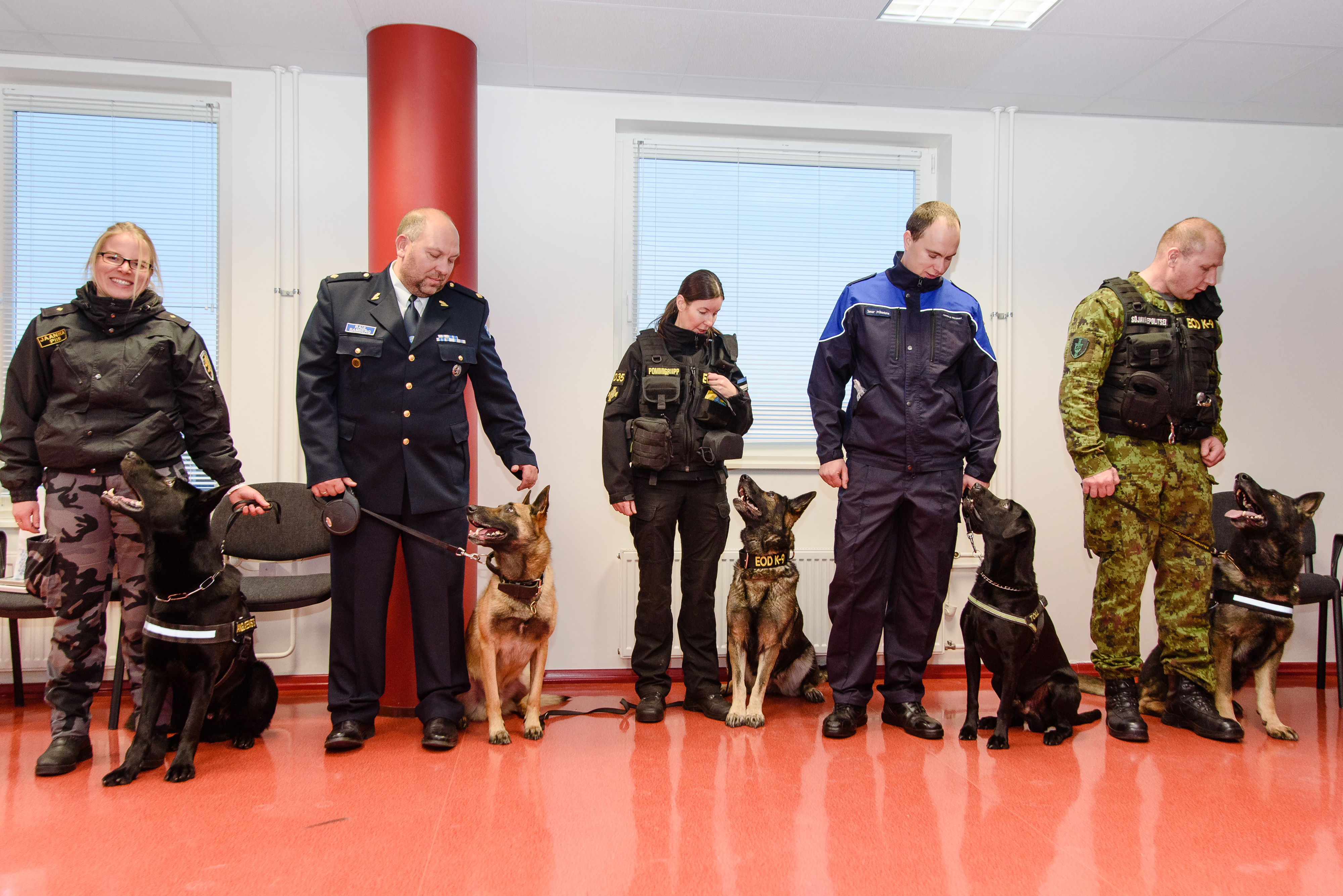parimad koerajuhid ja teenistuskoerad