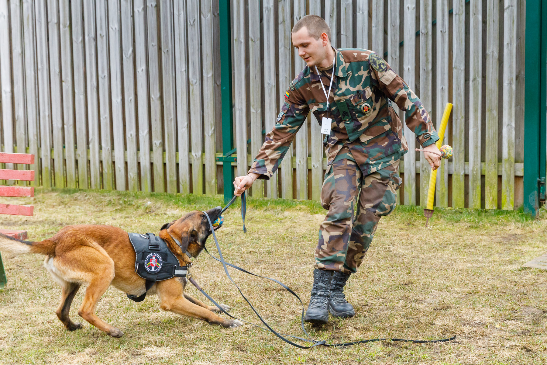 service dog training exercise