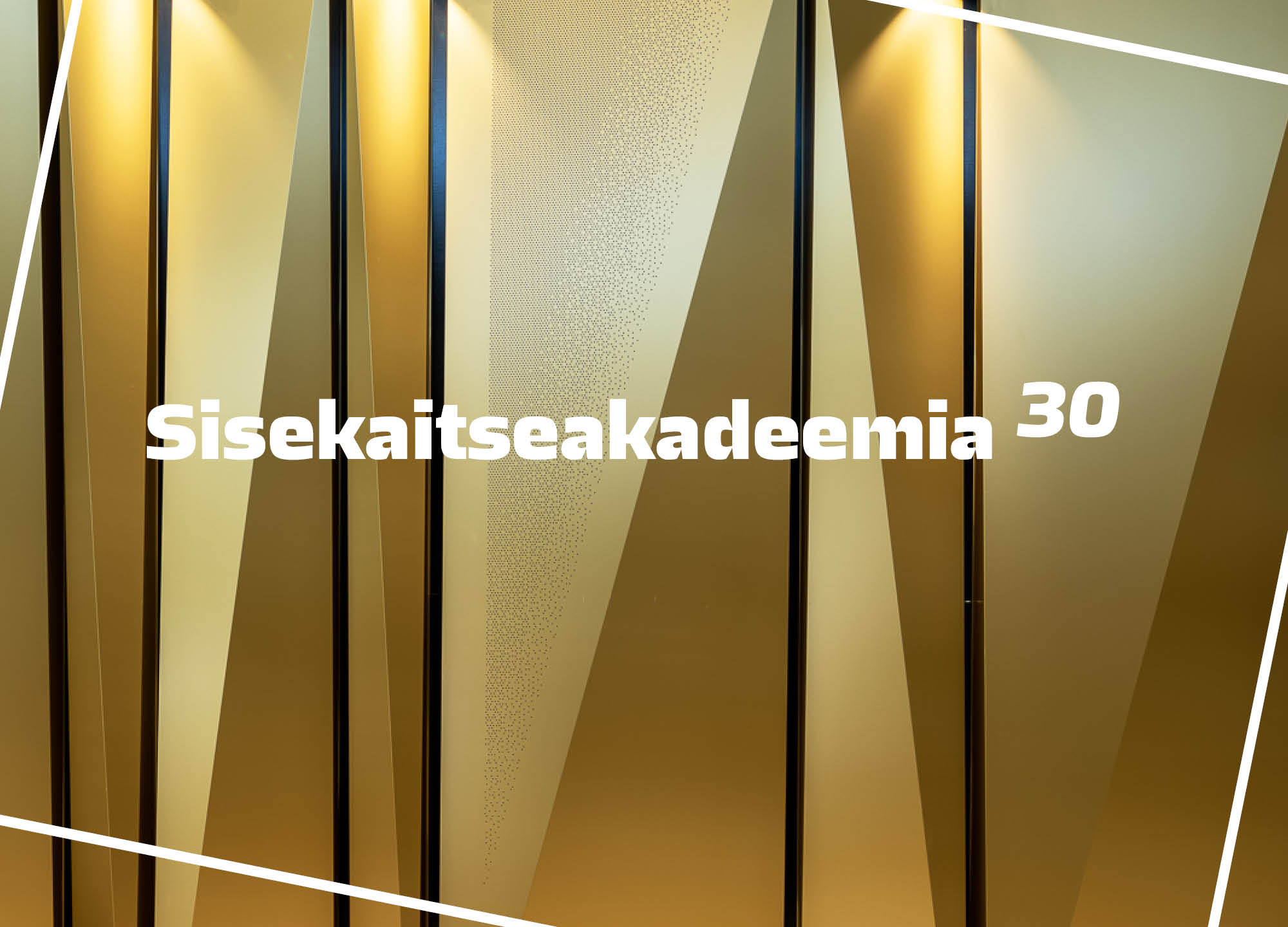 Sisekaitseakadeemia 30