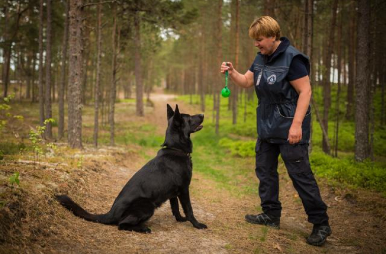 Narkokoer kuulekustestil