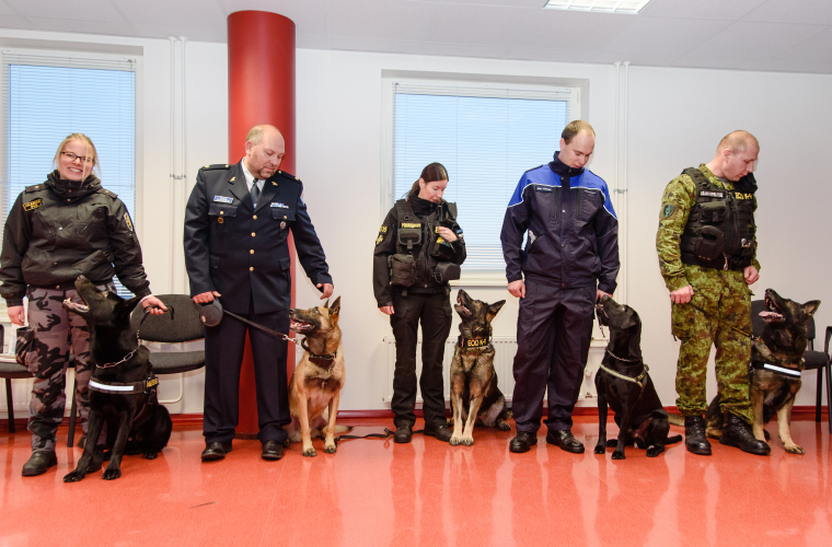 parimad koerajuhid ja teenistuskoerad