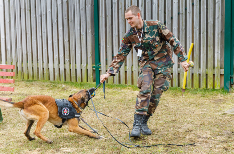 service dog training exercise