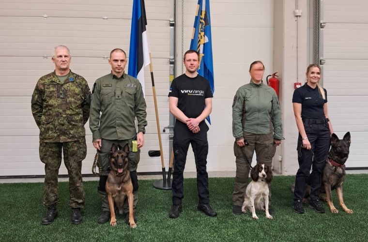 Pairmad koerajuhid ja nende koerad 2025.