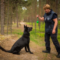 Narkokoer kuulekustestil