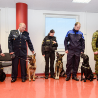 parimad koerajuhid ja teenistuskoerad