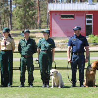 narkokoerte kutsemeisterlikkus